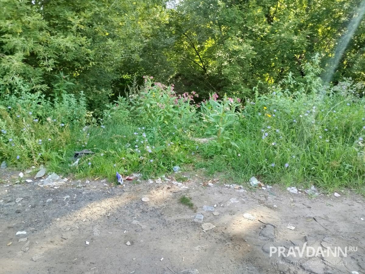 предоставлено читателем