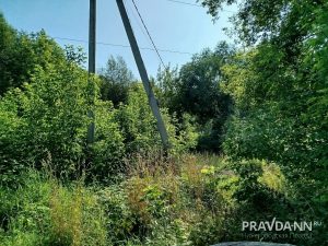 предоставлено читателем