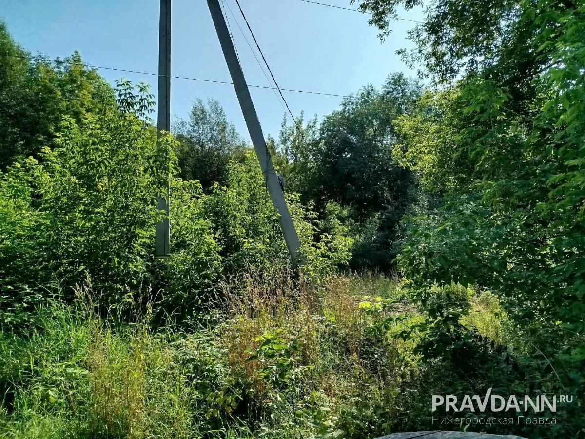 предоставлено читателем