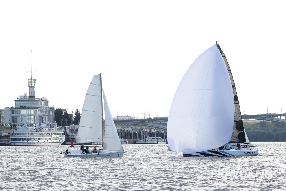 Александр Воложанин