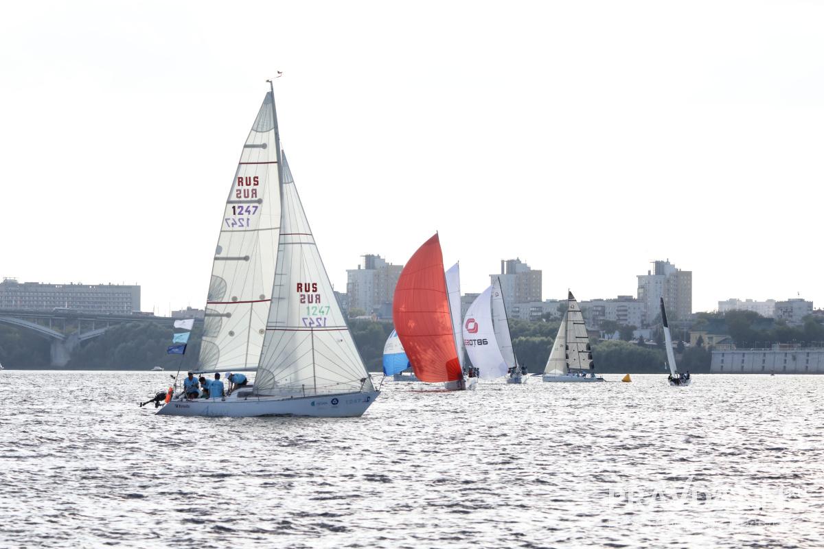 Александр Воложанин
