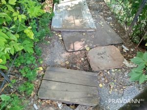 предоставлено читателем