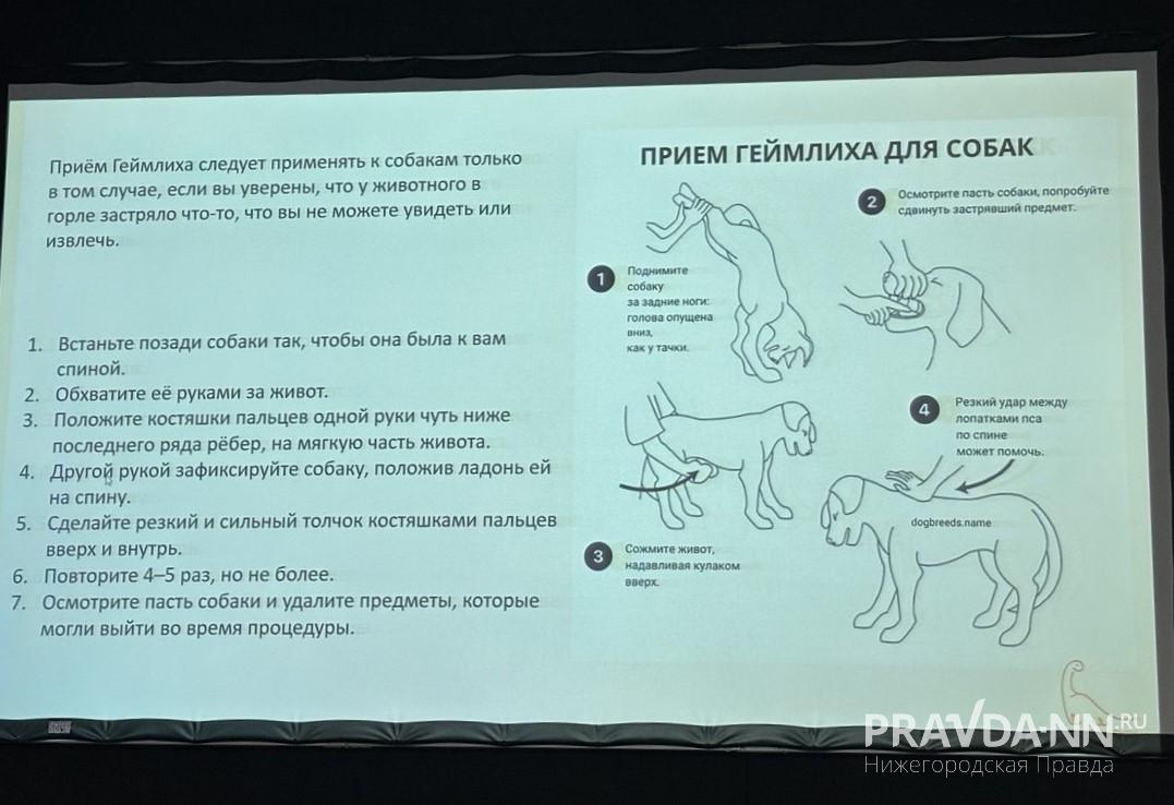 Анастасия Красушкина