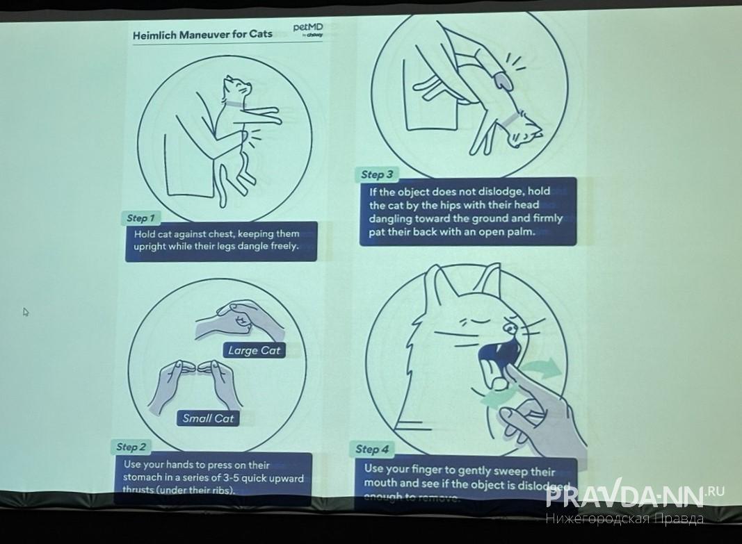 Анастасия Красушкина
