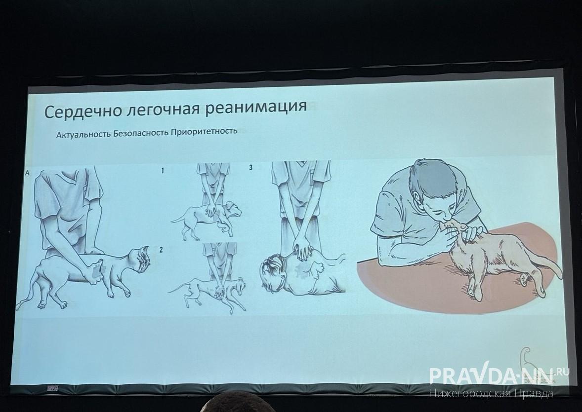 Шансы на проведение успешной сердечно-легочной реанимации крайне малы, но не равны нулю