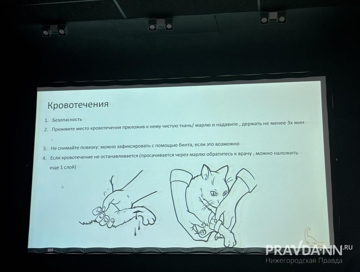 Любую рану нужно сперва обработать теплой водой или физраствором, чтобы избежать заражения