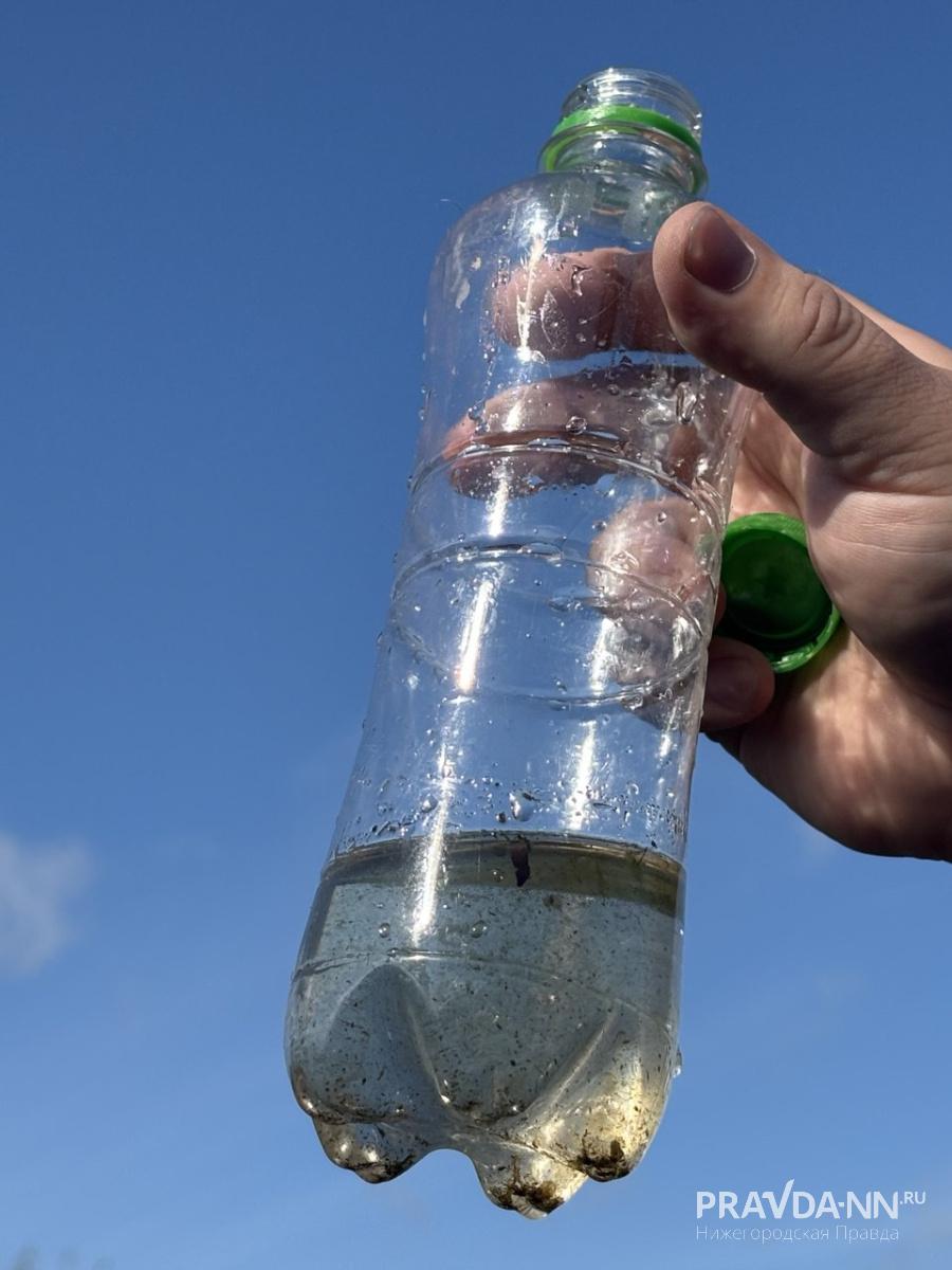 Водные обитатели как на ладони