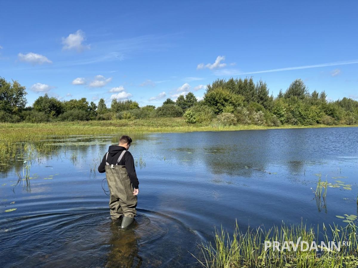 Фото: Анастасия Красушкина