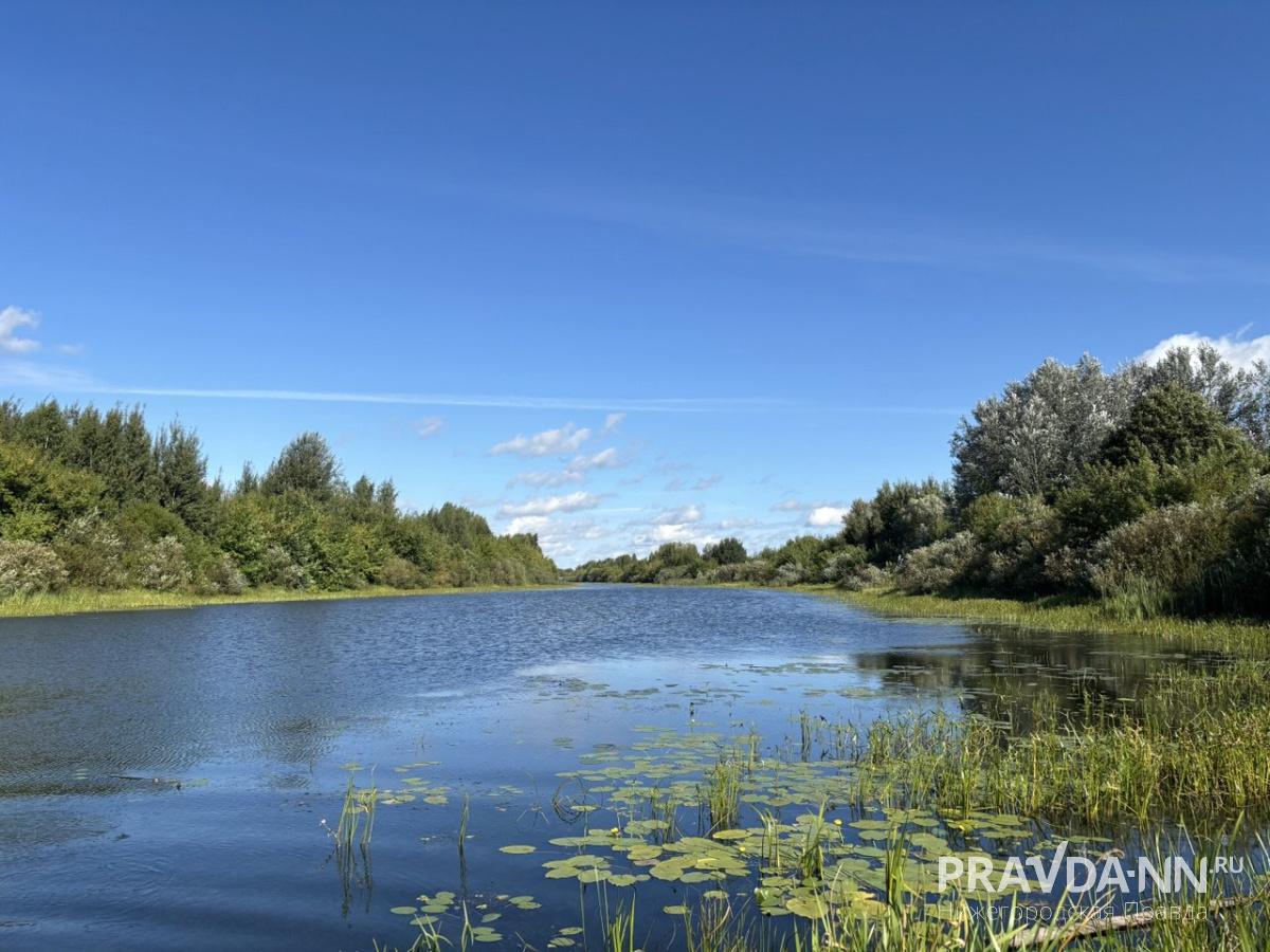 Хальзовское озеро находится на территории памятника природы регионального значения «Копосовская Дубрава»