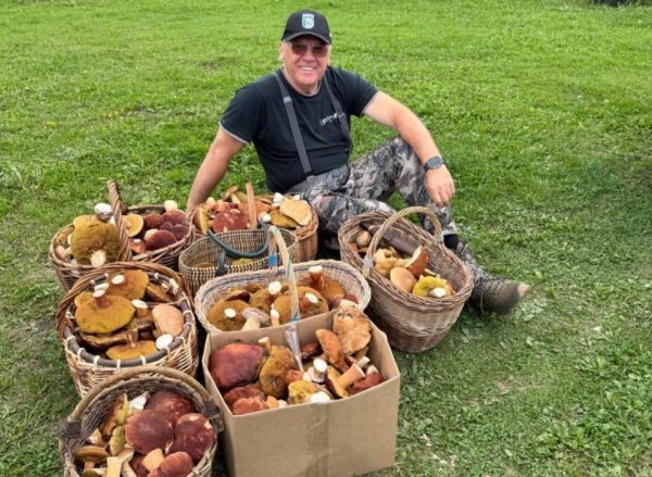 «Такое изобилие!»: Евгений Люлин похвастался собранными грибами