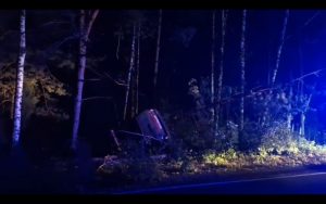 6‑летняя дочь осталась без отца из-за ДТП с лосем в Нижегородской области