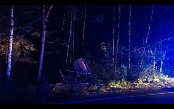 6‑летняя дочь осталась без отца из-за ДТП с лосем в Нижегородской области