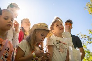 предоставлено организаторами