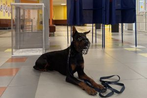 пресс-служба НРО ВПП «Единая Россия»