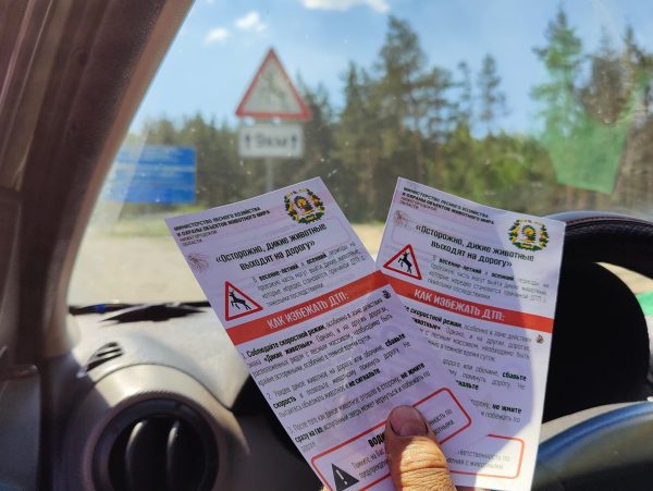 Нижегородский Минлесхоз предупредил водителей о рисках в период гона у&nbsp;лосей