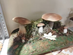 Ольга Севрюгина