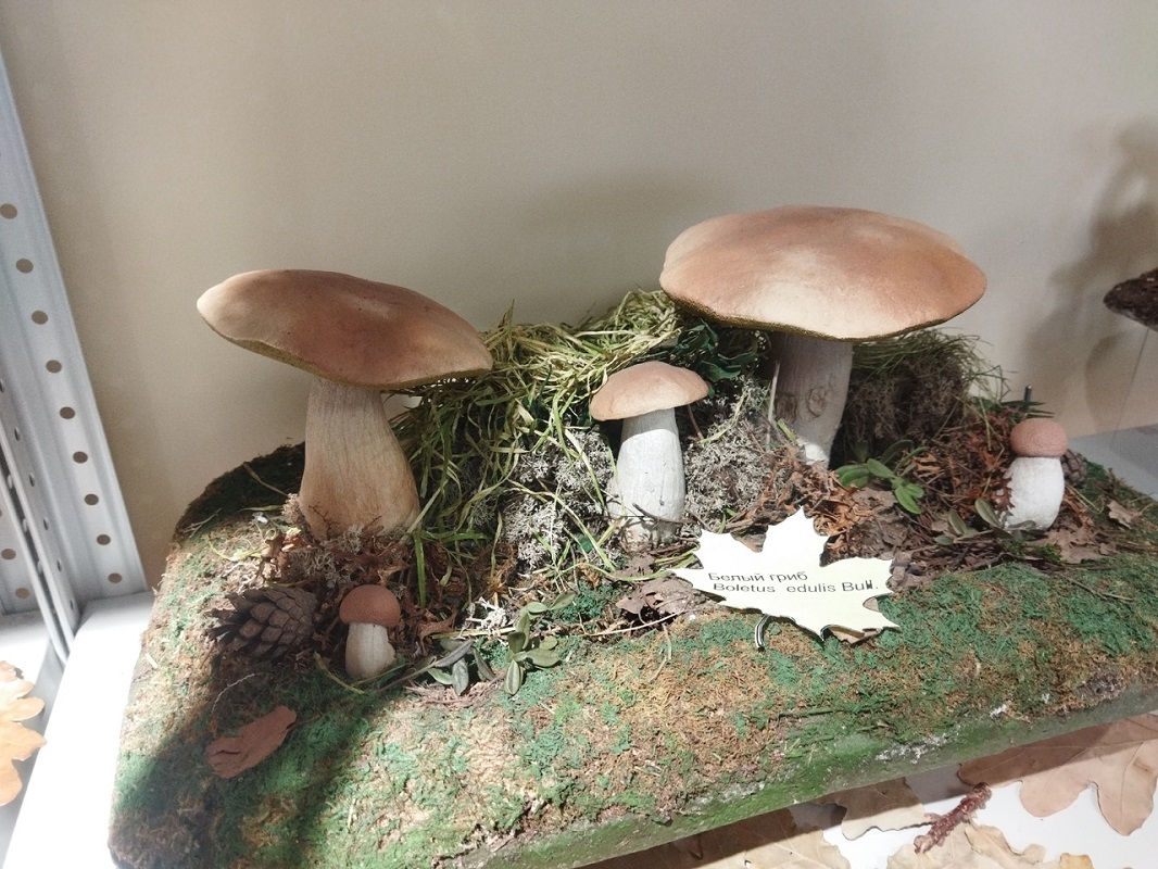 Ольга Севрюгина