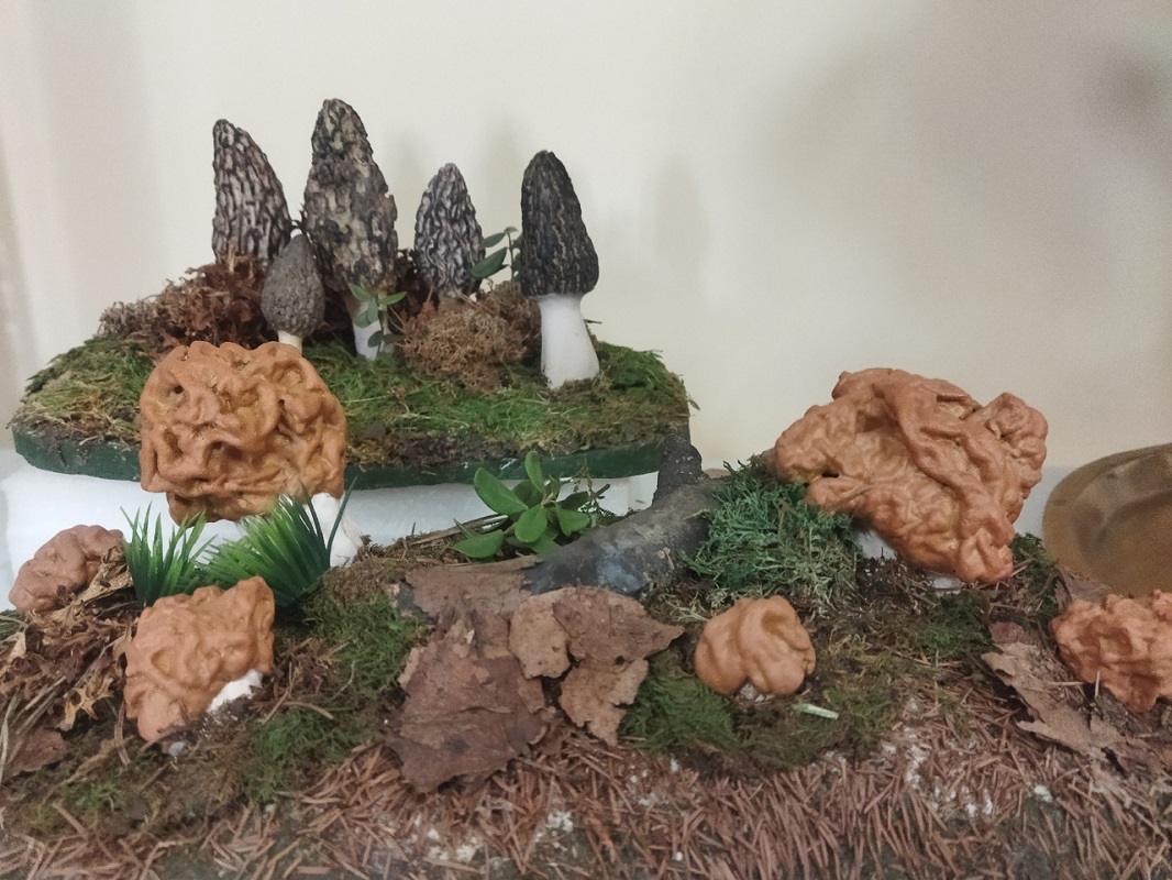 Ольга Севрюгина