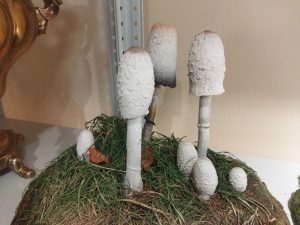 Ольга Севрюгина