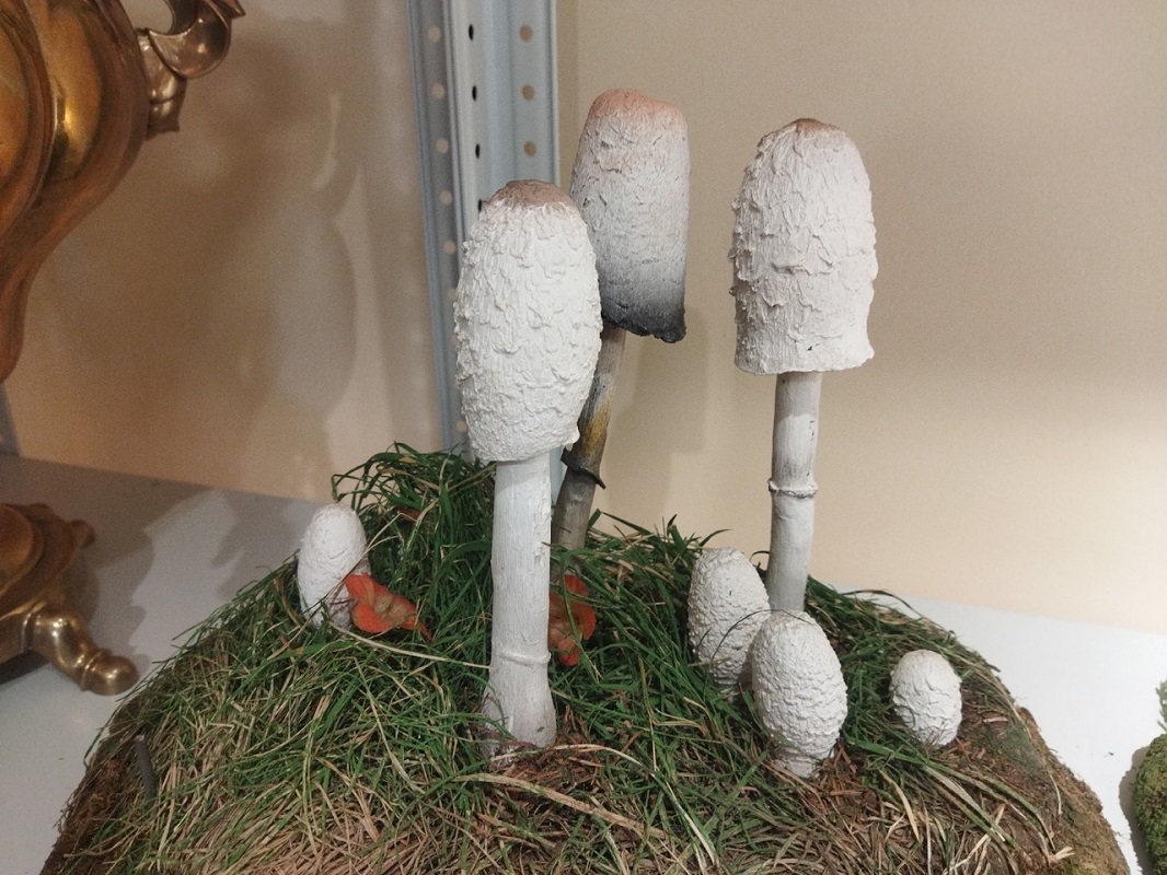 Ольга Севрюгина