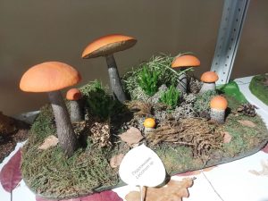 Ольга Севрюгина