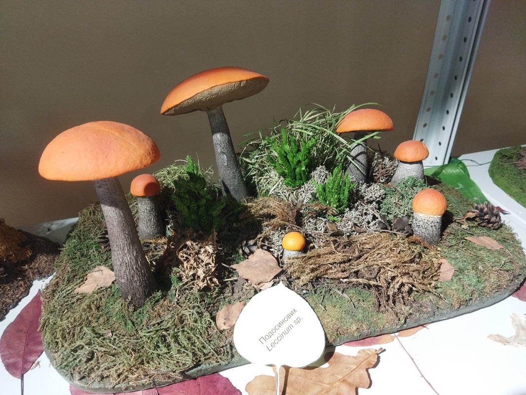 Ольга Севрюгина