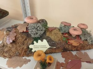 Ольга Севрюгина