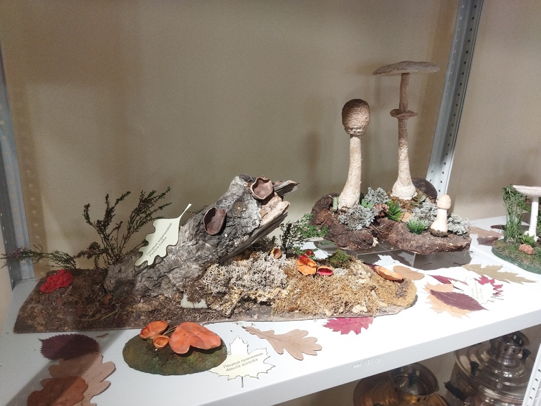 Ольга Севрюгина