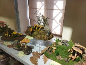 Ольга Севрюгина