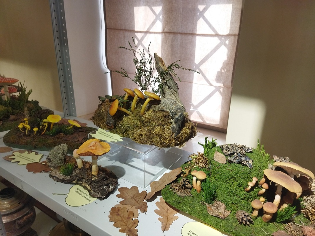 Ольга Севрюгина