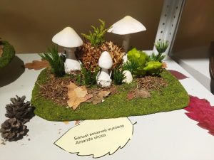 Ольга Севрюгина