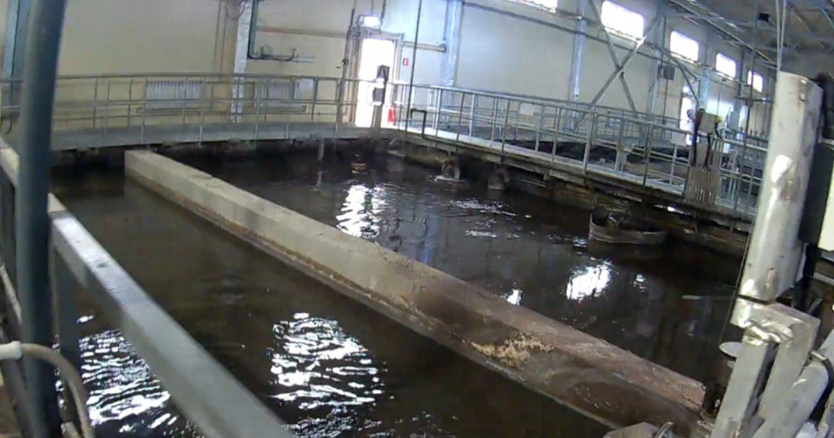 16 экологических нарушений выявили на Ворсменском водоканале