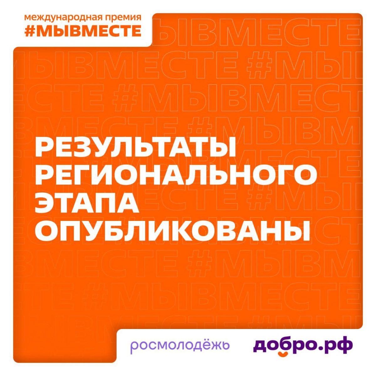 Нижегородская область вошла в Топ‑5 победителей в региональном этапе международной премии #МЫВМЕСТЕ