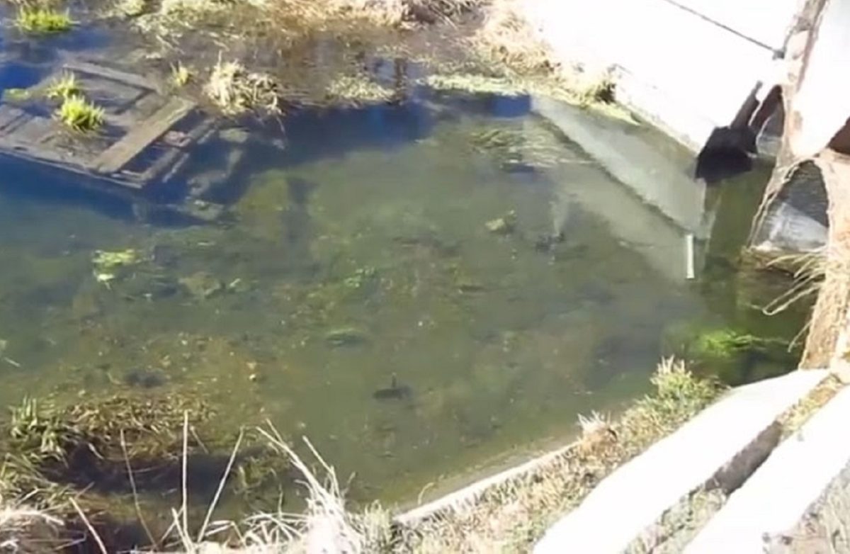 Реку загрязнили неочищенными стоками