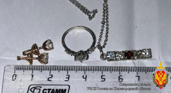 Нижегородца задержали за контрабанду драгоценных камней
