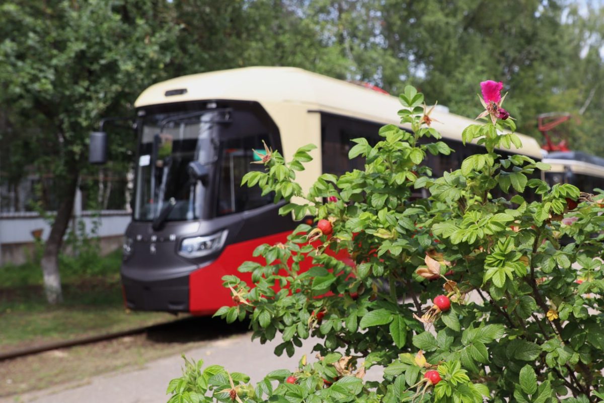 В Нижнем Новгороде стартует социокультурный проект «Первое трамвайное медиа»