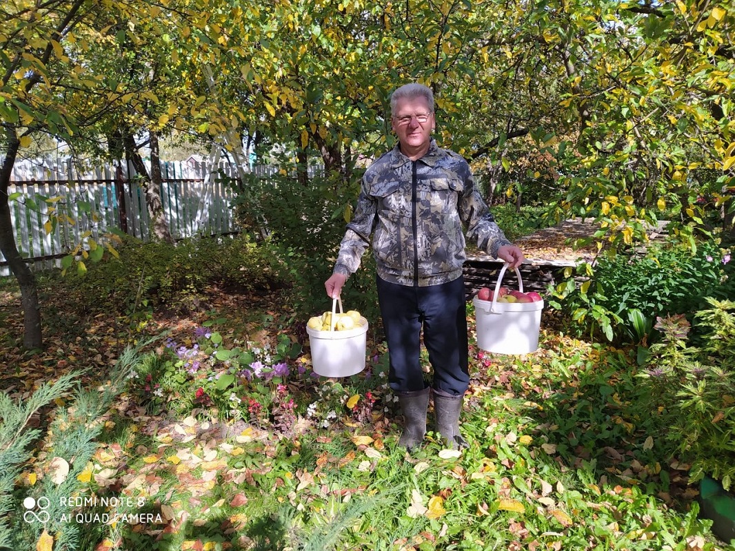 В саду у Александра Диряева одних только яблонь около 40 сортов