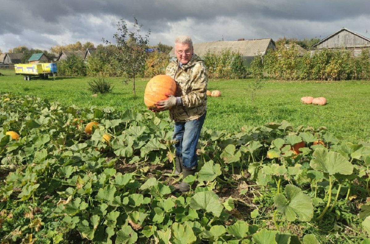 Нижегородец Александр Диряев поделился секретами подготовки сада к зиме
