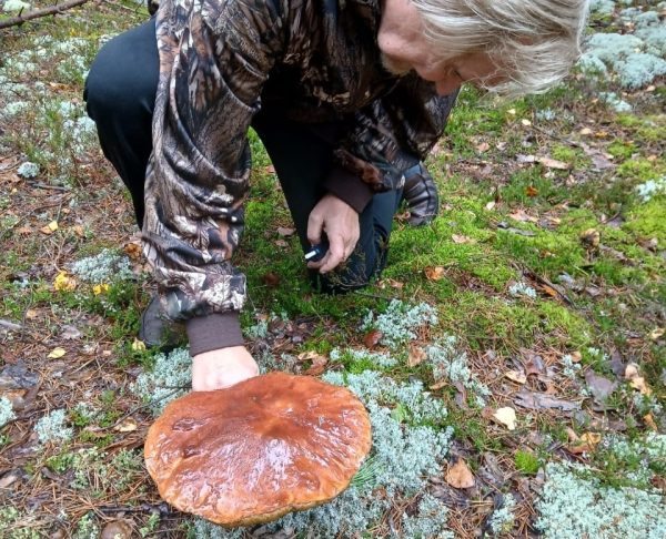 Экс-мэр Нижнего Новгорода Вадим Булавинов похвастался «трофеем» с грибной охоты