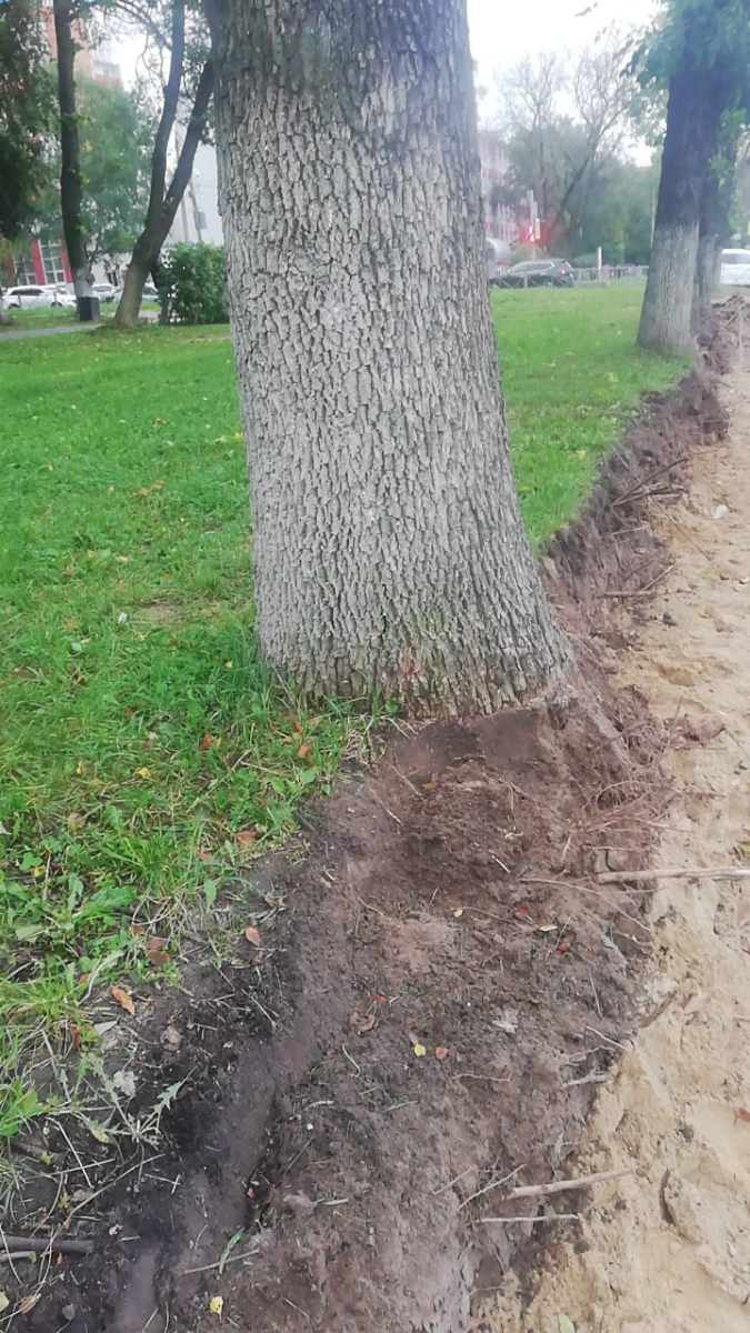 МКУ "ГУММиД"