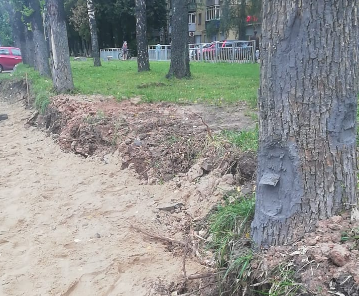 Нижегородцы пожаловались на поврежденные деревья вдоль парка «Швейцария»