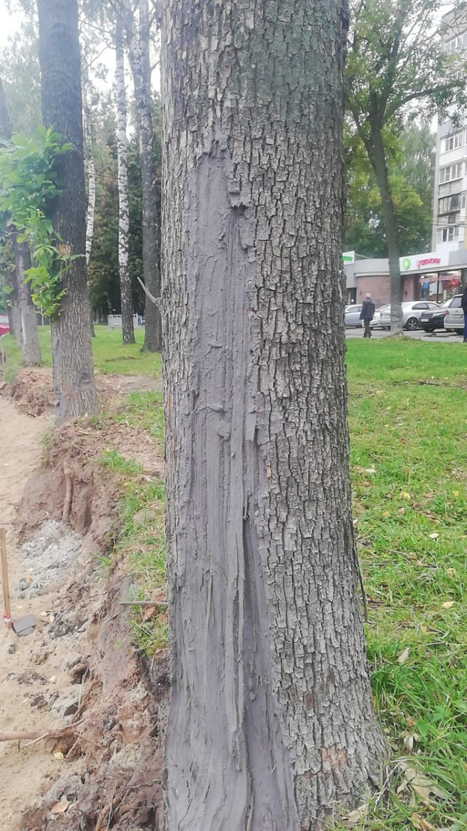 МКУ "ГУММиД"