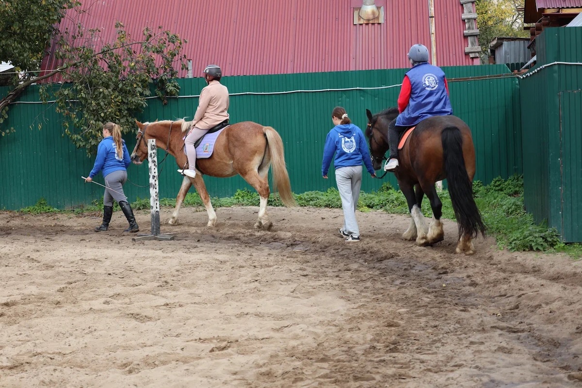 Создана программа психологической разгрузки для семей погибших участников СВО