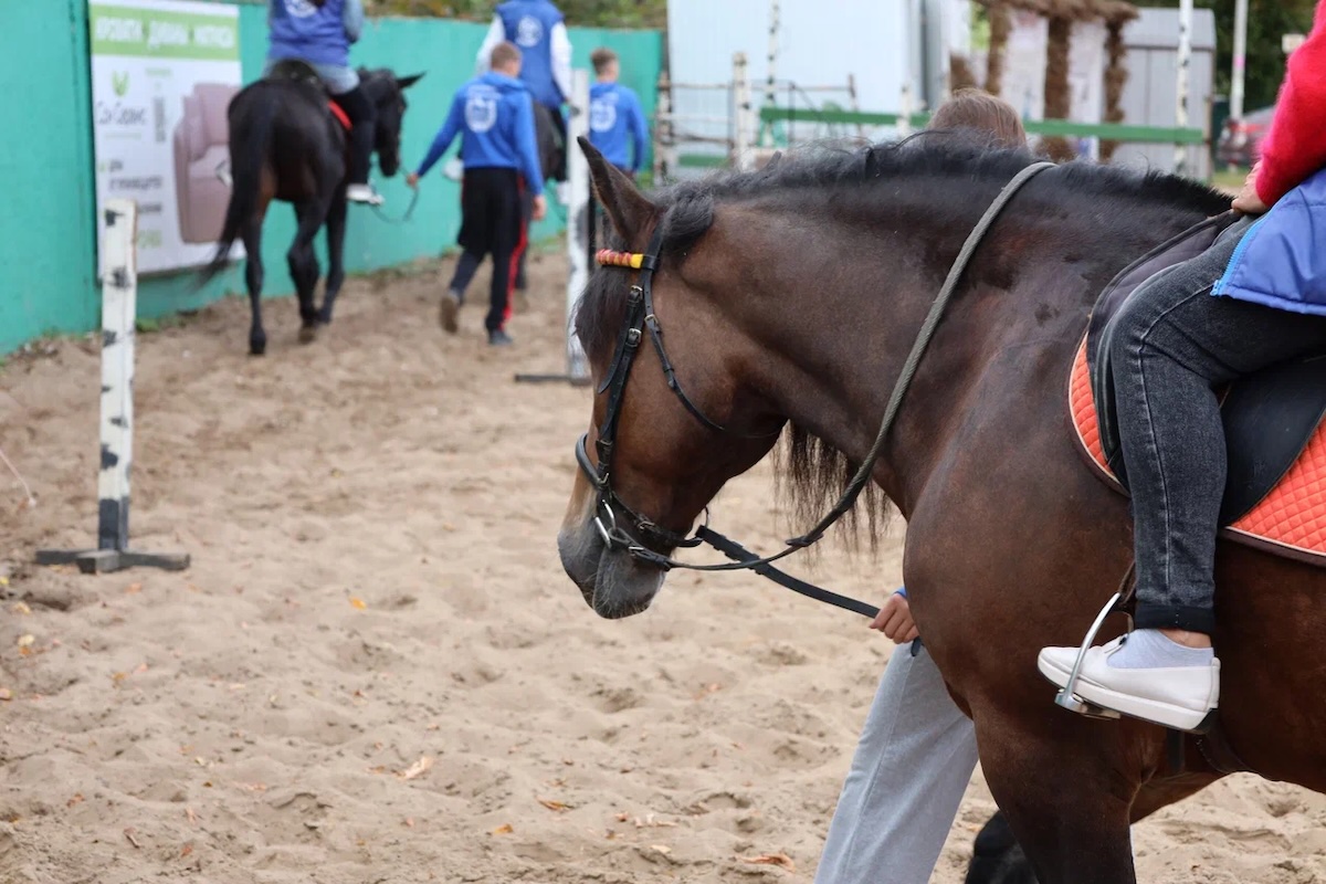Пресс-служба РИК НРО «Единая Россия»