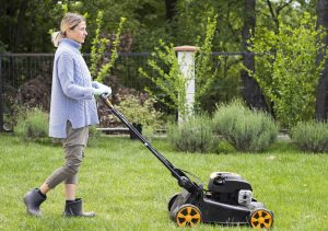 Плоскорез, фруктосборник и газонокосилка: топ инструментов для продвинутого садовода