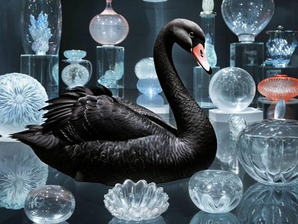 Мобильный интернет взлетел в окрестностях «Черного лебедя» под Балахной