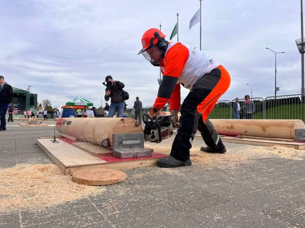 X Чемпионат России «Лесоруб – 2025» стартовал в Нижнем Новгороде