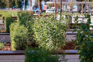 ТГ-канал главы Нижнего Новгорода