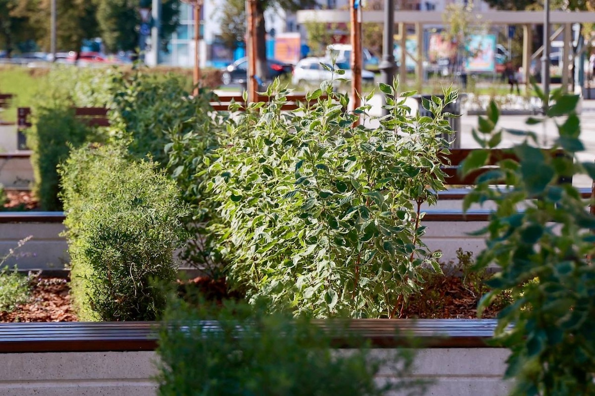 ТГ-канал главы Нижнего Новгорода