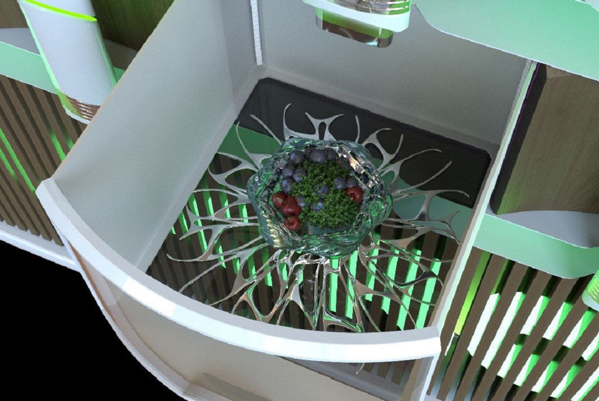 Модульная установка Алексея Димашова выращивает овощи с помощью технологии аэропоники